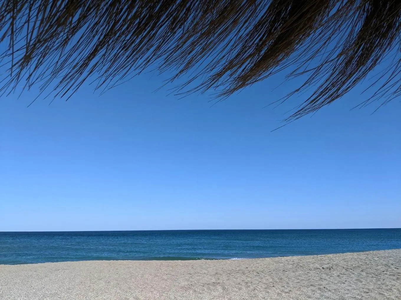 Palm Serenity - Sotogrande